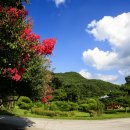 김천 비봉산 봉곡사 (金泉 飛鳳山 鳳谷寺) 이미지