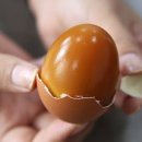 신사식품