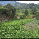 병목보건진료소 이미지