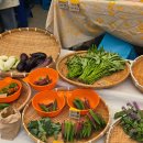 오목수산 이미지