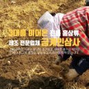 풍기정품인삼사