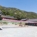 삼화사 티스토리