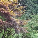 강빛마을 이미지