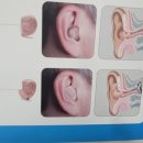 시그니아독일보청기 수원센터 이미지