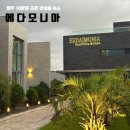 에다모니아 이미지