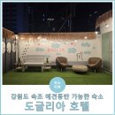 통영반려견 셀프목욕탕 | 강원도 속초 루프탑 운동장 있는 애견(반려견)동반 가능한 숙소 &#39;도글리아 호텔&#39;
