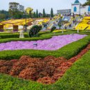 임실치즈테마파크1 이미지