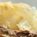 위드마롱 이미지