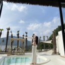 코스타리몬 이미지