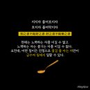 (주)국일테크 | [공지] 2024년 5월 근황 + 블로그 결산, 이런 저런 부수입 창출