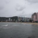 송정 해수락 이미지