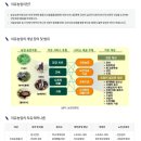 [생태체험] 맥도생태공원 - 4월 14일(일) 오후 | [대저생태공원] 2024.4.14 유채꽃경관단지 개화상태, 포토존, 주차, 푸드트럭 정보 (ft. 부산도시농업...