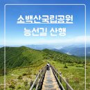 소백산국립공원 삼가주차장 비로봉 국망봉 초암사 달밭골 최단 등산 코스 상세 솔직후기
