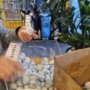 뽑기훈련소 이미지