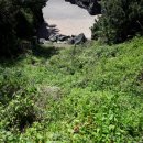 하모리-15 이미지