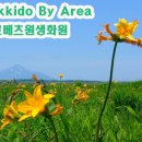 대지화원꽃 이미지