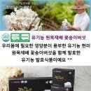 미강바이오