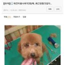 미용사