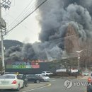 영덕식자재마트 이미지