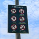 강서구 마곡 가볼만한곳 서울식물원 온실 주제원 장미 수국 입장료 주차장 정보