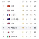 파리올림픽 현재 국가별 메달순위🥇🥈🥉 이미지