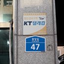 혁집오리 이미지