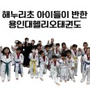 가락태권도 이미지