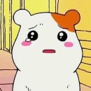 쌍둥이네양꼬치 이미지