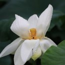 서일여행 이미지