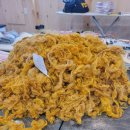 수공목장 이미지