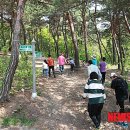 아미산 이미지
