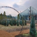 화니피는숲