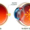 으뜸플러스 금릉점 이미지