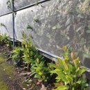 철만농장 이미지