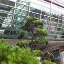서울대-관악-포스코스포츠센터