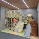 에이지커피 | [제주] 아이들이 너무 좋아했던 제주 키즈 풀빌라 서귀포 표선면 에이지하우스키즈 B동 후기