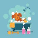 펫 아일랜드 이미지