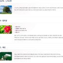 횡천시장 | 강원도 횡성의 이름 유래와 역사