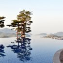 강골민박 이미지