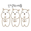 호성이골뱅이 파주금촌점 이미지