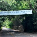 나무향기 차향기 | 2025 큐라이트 차회 후기 &#34;차 향기에 여름을 머금다&#34;