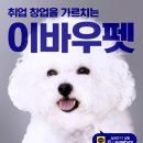 당진애견미용학원
