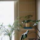 형제에너지 | 서울 강남 홈스냅 삼형제 촬영 후기 | 오는계절스냅