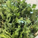 연지공원(풍력폴2) | 요리선생님이자 워킹맘의 4월 먹고 산 이야기(집밥 사랑 엄마)