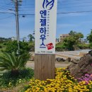 엔젤하우스 이미지