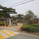 학성군 김완장군 영당 네이버블로그
