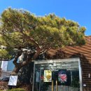 원터2길 4 | [서초/양재] 청계산 "조선면옥"