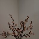 김홍도미술관 이미지