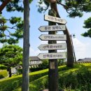 솔리,자운 이미지