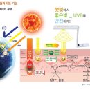 비타민D에 관한 궁금증과 암 재발 관리 측면 이미지